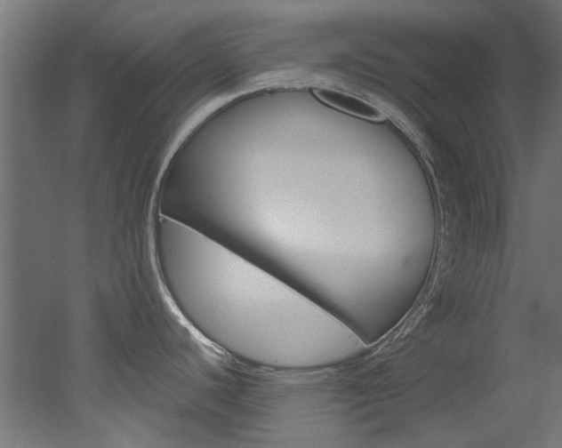 X0000051871440200506241017