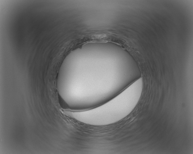 X0000051871441200506241016