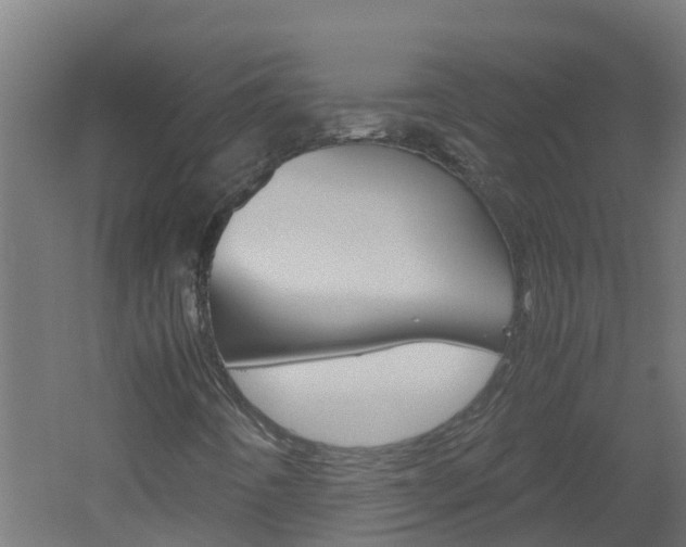 X0000051871442200506241016