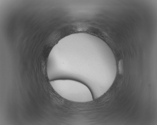 X0000051871443200506241016
