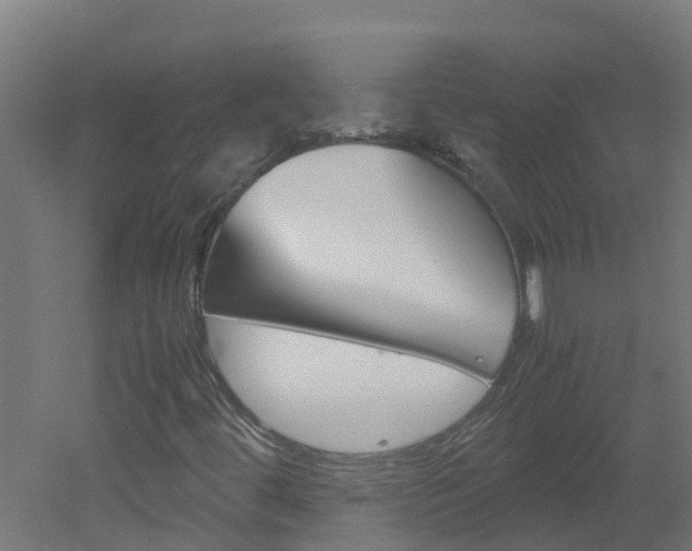 X0000051871444200506241016