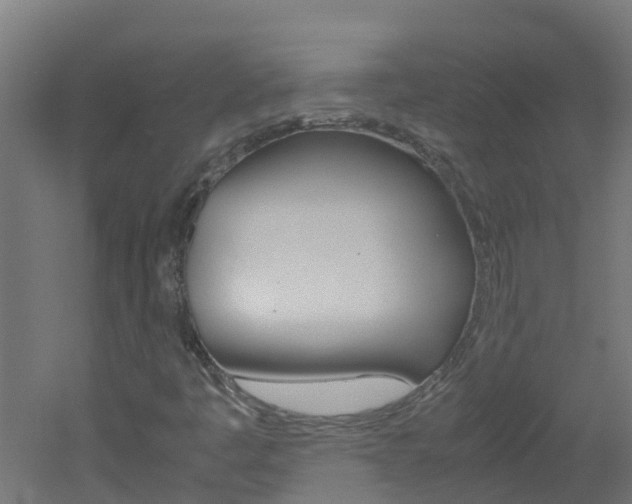 X0000051871445200506241016