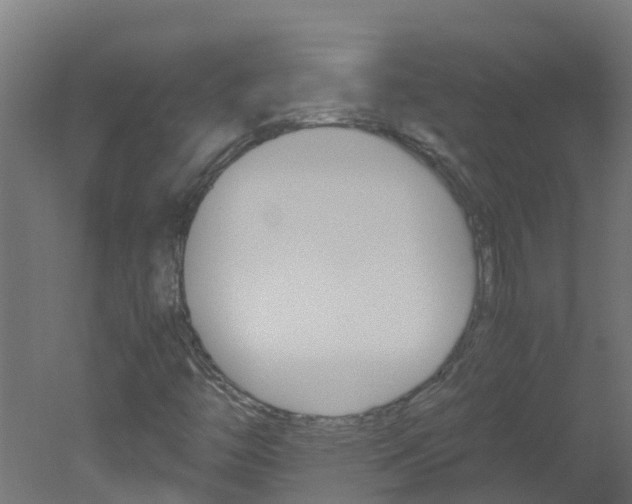 X0000051871446200506241016