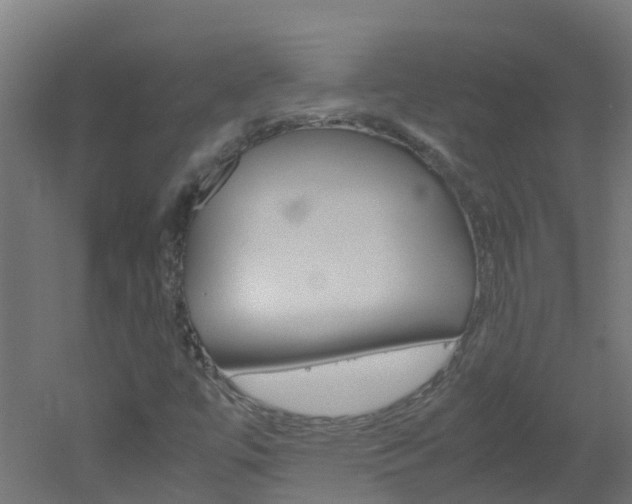 X0000051871447200506241016