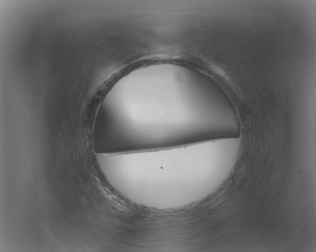 X0000051871448200506241016
