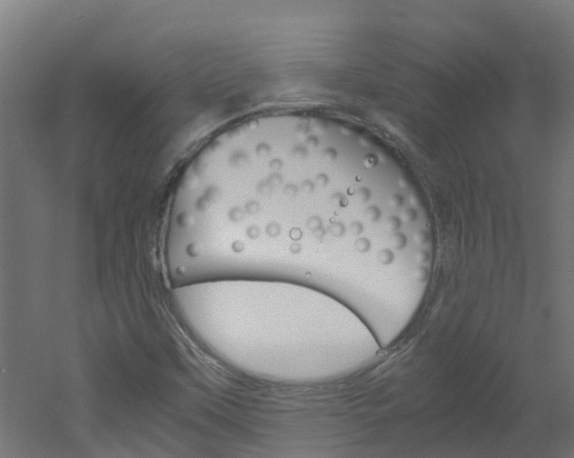 X0000051871451200506241016