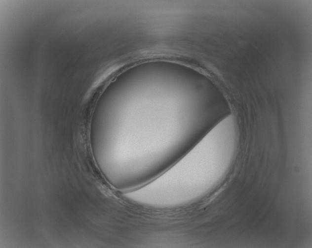 X0000051871453200506241016