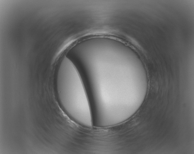 X0000051871456200506241016