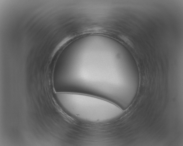 X0000051871458200506241016