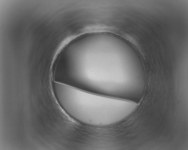 X0000051871472200506241015