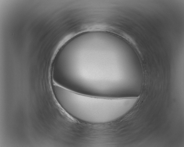 X0000051871480200506241015