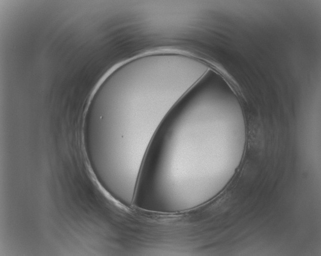 X0000051871484200506241015