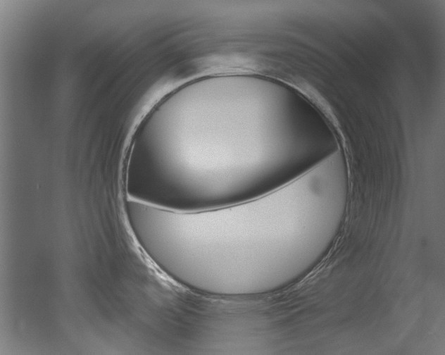 X0000051871488200506241015