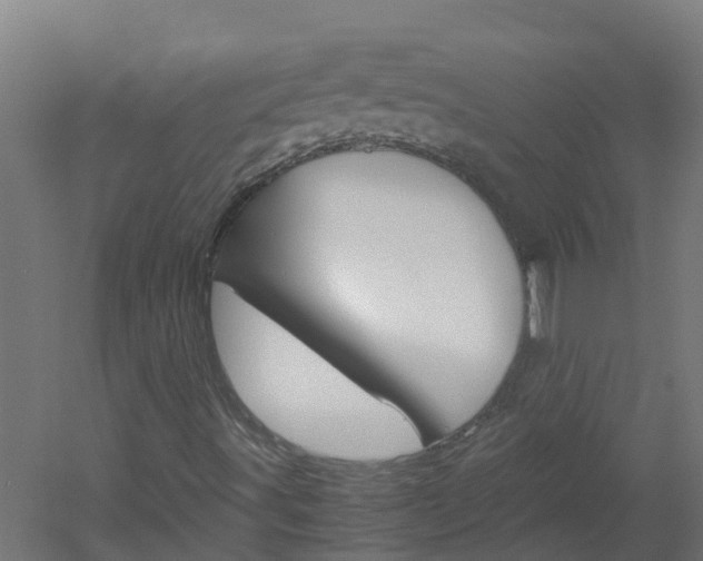 X0000051871491200506241014