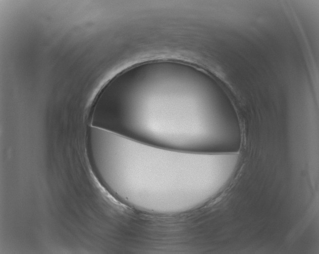 X0000051871500200506241014