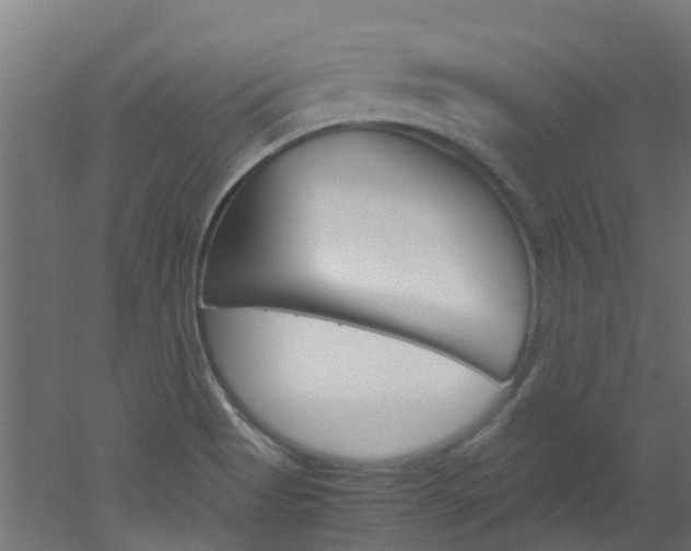 X0000051871513200506241015