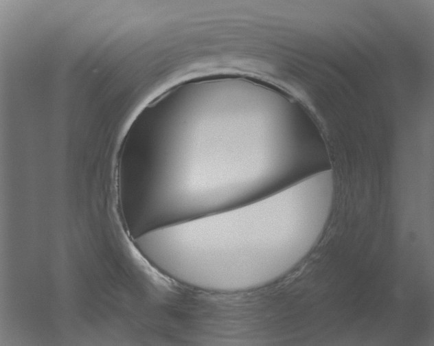 X0000051871524200506241015