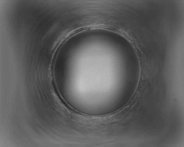 X0000051870002200506241359