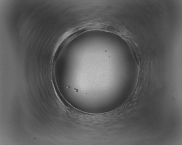 X0000051870003200506241359