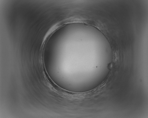 X0000051870004200506241359