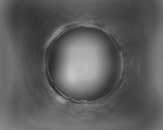 X0000051870005200506241359