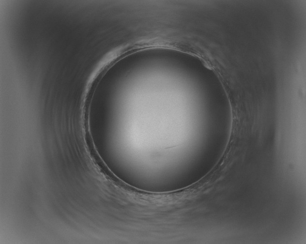X0000051870006200506241359