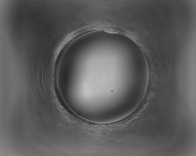 X0000051870007200506241359