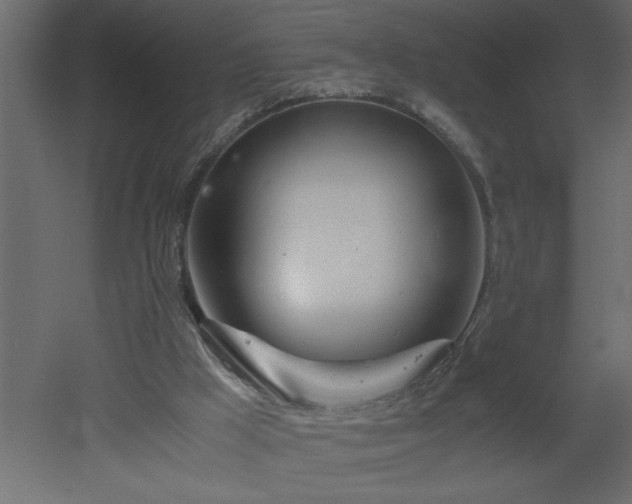 X0000051870009200506241359