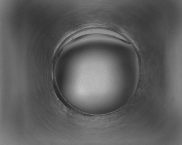 X0000051870011200506241359