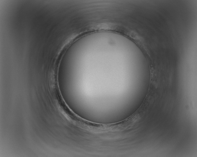 X0000051870012200506241359