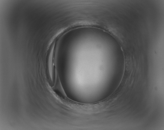 X0000051870015200506241359