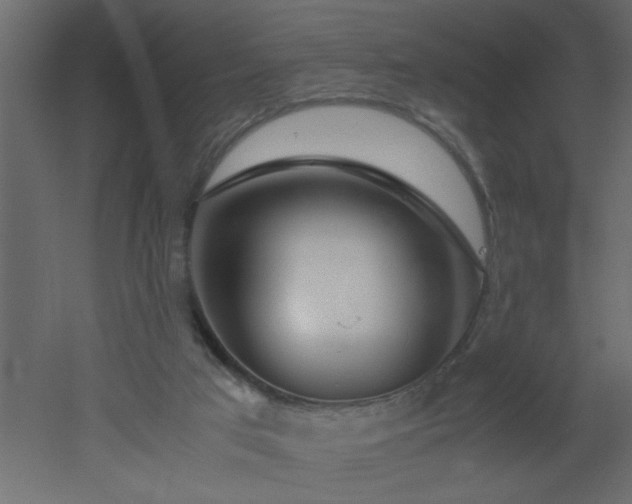 X0000051870017200506241359