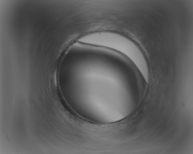 X0000051870019200506241359
