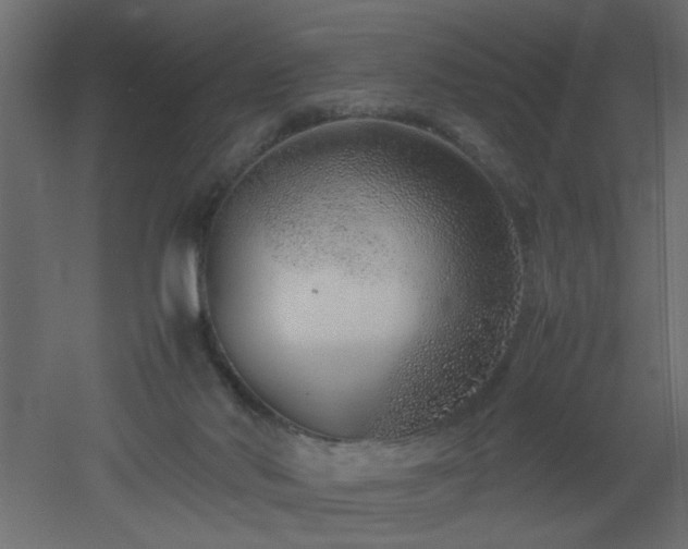 X0000051870022200506241359