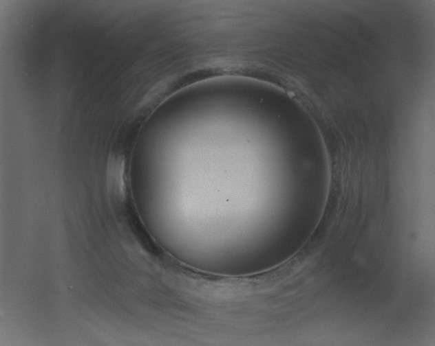 X0000051870024200506241359