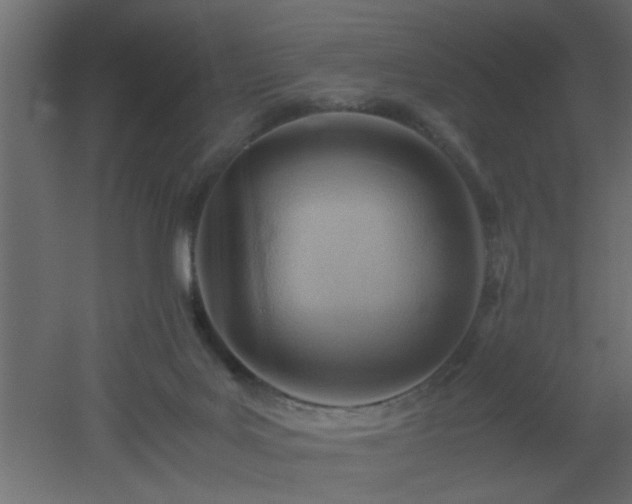 X0000051870027200506241359