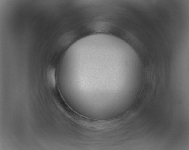 X0000051870028200506241359