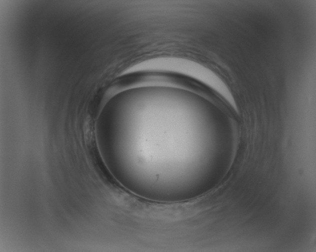 X0000051870029200506241359