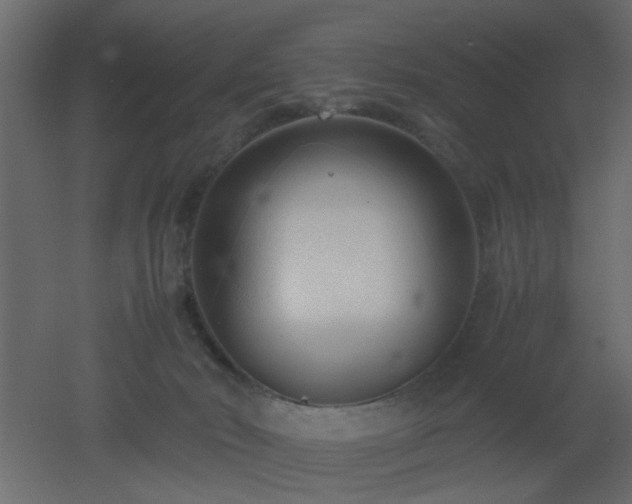 X0000051870030200506241359