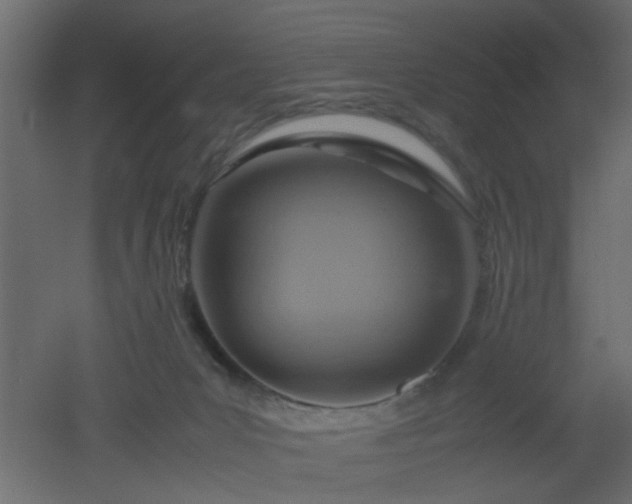 X0000051870031200506241359