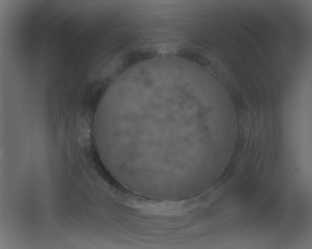 X0000051870032200506241359