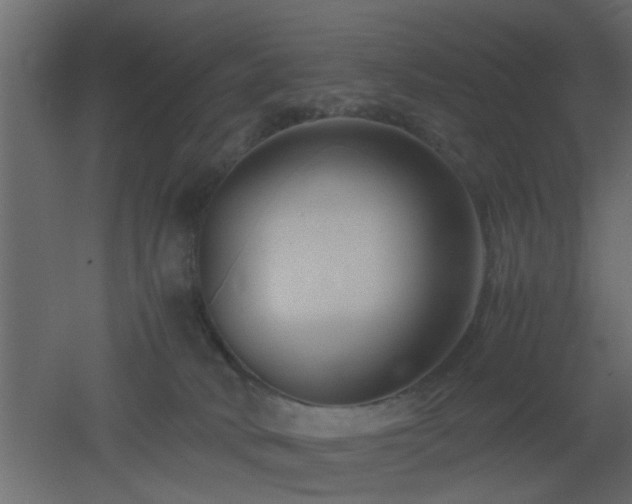 X0000051870034200506241359