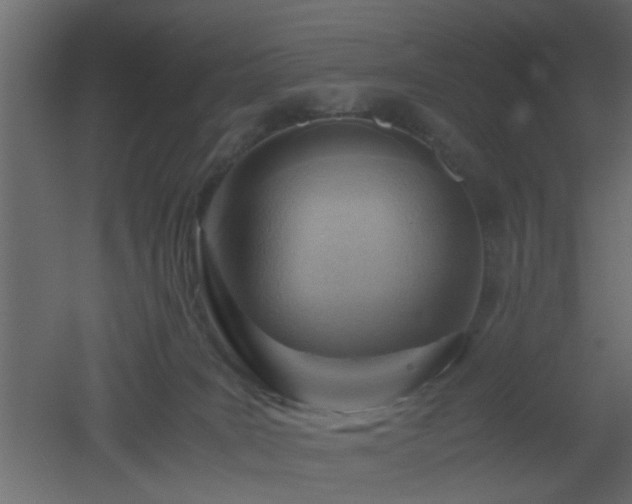 X0000051870035200506241359