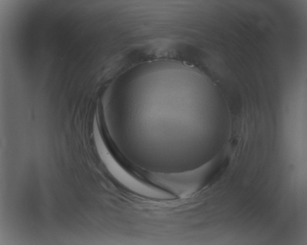 X0000051870039200506241359