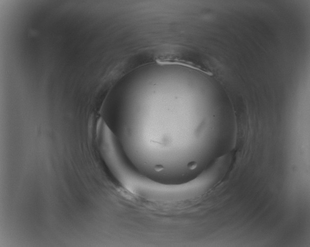 X0000051870041200506241359