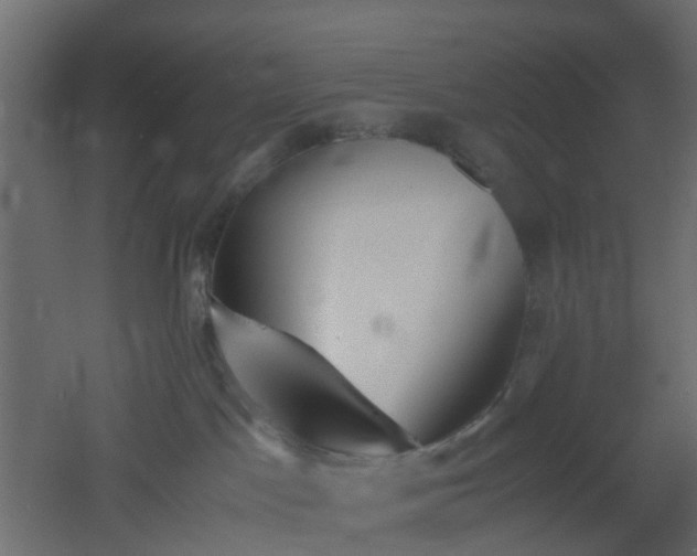 X0000051870045200506241359