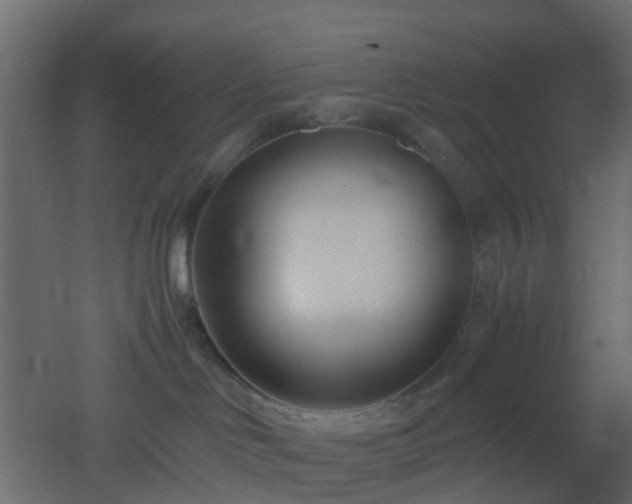 X0000051870046200506241359