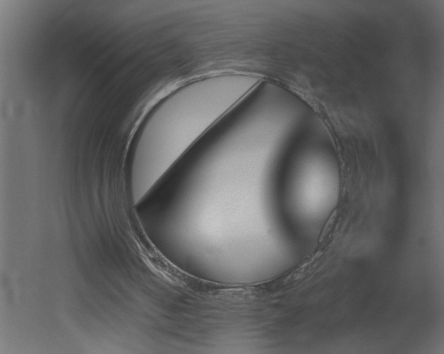 X0000051870050200506241358