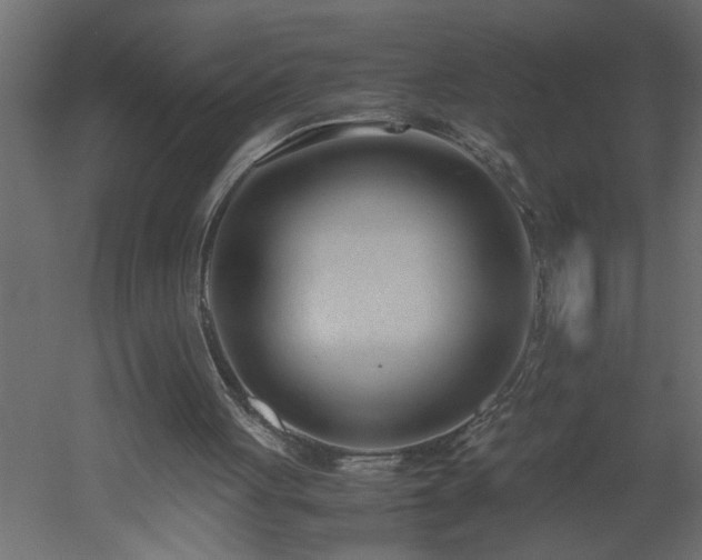 X0000051870051200506241358