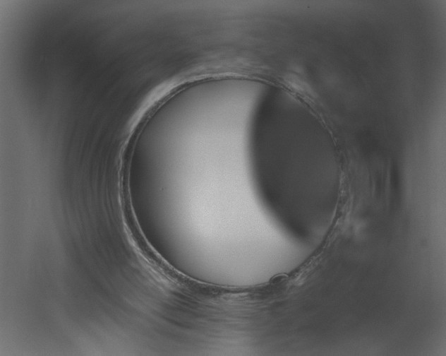 X0000051870054200506241358